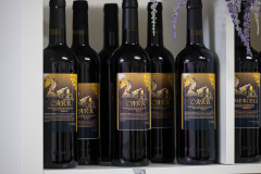 February 26, 2025: Touring Cyrenity Sips Winery in Hatboro