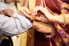 November 6, 2021: Sen. Collett today attended the Diwali celebration at the BAPS Shri Swaminarayan Mandir in Souderton.  Diwali, the festival of light, is one of the most important festivals of the Hindu calendar, marking the triumph of good over evil, light over dark, and life over death.  In certain Hindu communities Diwali also coincides with the start of a new year.