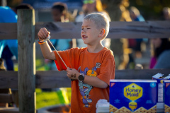 Fall Fest 2026