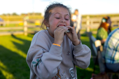 Fall Fest 2026