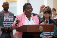 Rally for the Family Care Act