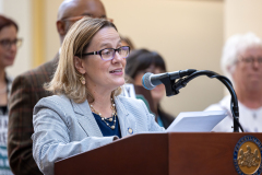 Rally for the Family Care Act