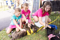 August 3, 2024: Collett & Malagari Family Fest 2024