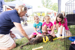 August 3, 2024: Collett & Malagari Family Fest 2024