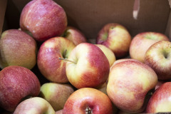 December 2, 2023: 2023 Family Health Fair 