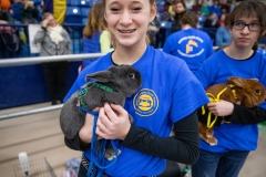 January 7, 2020: Senator Collett Participates in the Celebrity Rabbit Hop at the 2020 Farm Show.