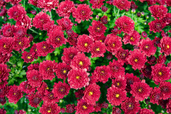 September 27, 2023: Gwynedd Mercy University Healthcare Innovation Center Groundbreaking