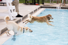 September 6, 2025: Pet-A-Palooza 2025
