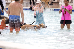 September 6, 2025: Pet-A-Palooza 2025