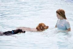 September 6, 2025: Pet-A-Palooza 2025