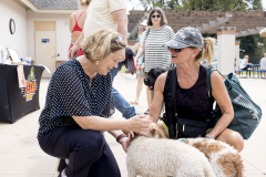 September 6, 2025: Pet-A-Palooza 2025