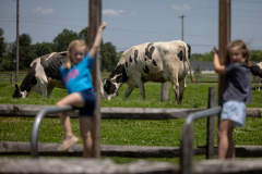 May 30, 2024: 2024 Ice Cream Trail Launch at Merrymead Farm