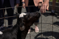 May 30, 2024: 2024 Ice Cream Trail Launch at Merrymead Farm
