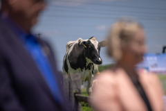 May 30, 2024: 2024 Ice Cream Trail Launch at Merrymead Farm