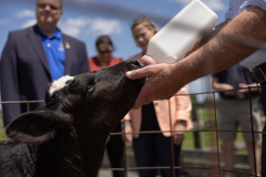 May 30, 2024: 2024 Ice Cream Trail Launch at Merrymead Farm