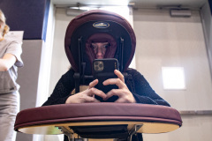 April 23, 2022: Senator Maria Collets participates in the annual International Spring Festival at North Penn High School in Lansdale.