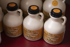 February 22, 2024: Tree Tapping at Ridge Valley Farm 