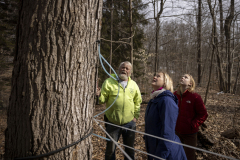 February 22, 2024: Tree Tapping at Ridge Valley Farm 
