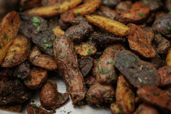 March 21, 2025: Touring Central Montco Technical High School