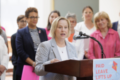 June 24, 2024: Pushing for Paid Leave with the Maternity Care Coalition