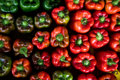 September 10, 2021: Senator Collett tours the Roth Farm in Spring Grove, PA.