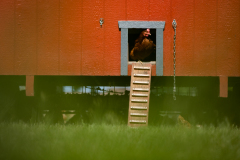 September 10, 2021: Senator Collett tours the Roth Farm in Spring Grove, PA.