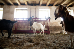 September 10, 2021: Senator Collett tours the Roth Farm in Spring Grove, PA.