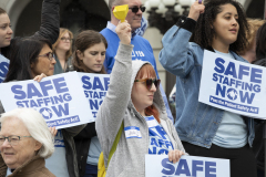 096a0613_52865648685_o