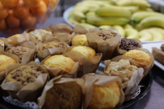 October 17, 2025: Sen. Collett’s 2025 Senior Fair in Souderton October 17, 2025: Sen. Collett’s 2025 Senior Fair in Souderton