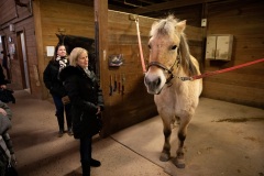 November 12, 2019: Senator Collett Visits Special Equestrians in Warrington.