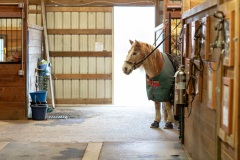 November 12, 2019: Senator Collett Visits Special Equestrians in Warrington.