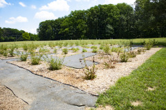 July 13, 2023: Sen. Collett & Secretary Redding Tour Variety During Urban Agriculture Week