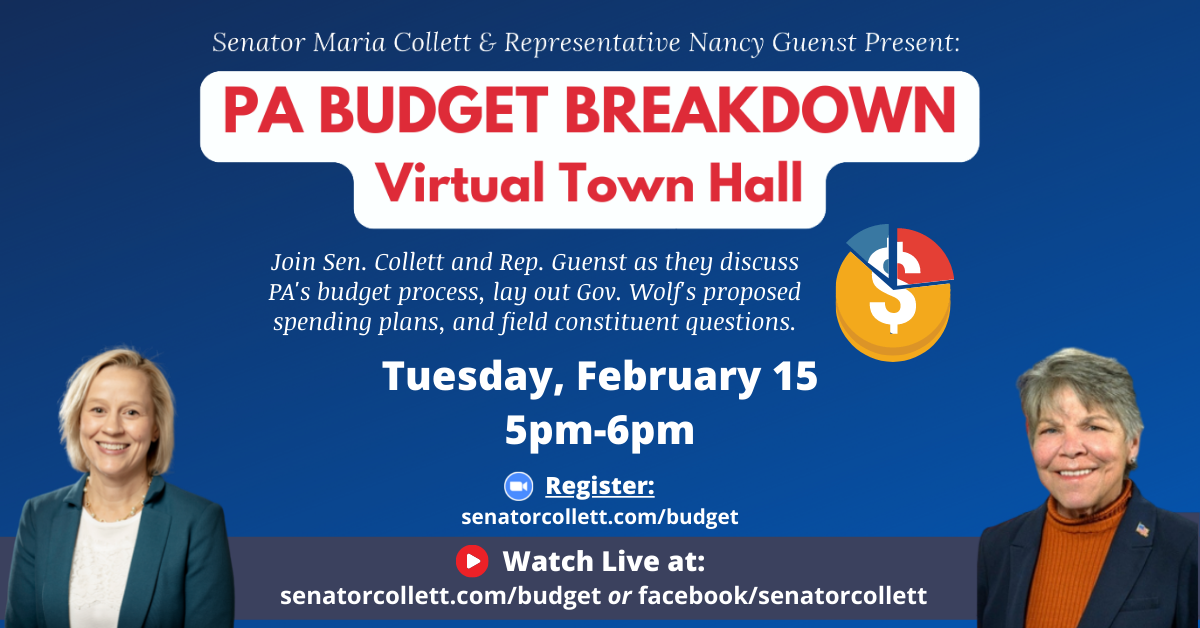 Budget Breakdown Virtual Town Hall - February 15, 2022